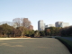 img0039.jpg