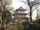 img0047.jpg