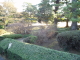 img0056.jpg