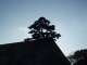 img0057.jpg