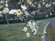 img0062.jpg