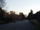 img0065.jpg