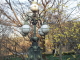 img0067.jpg
