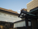 img0084.jpg