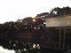 img0089.jpg