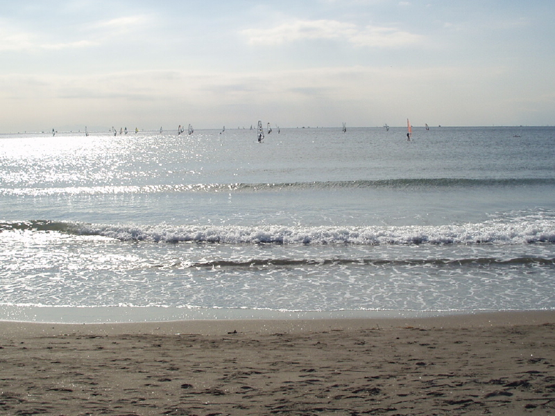 img0002.jpg