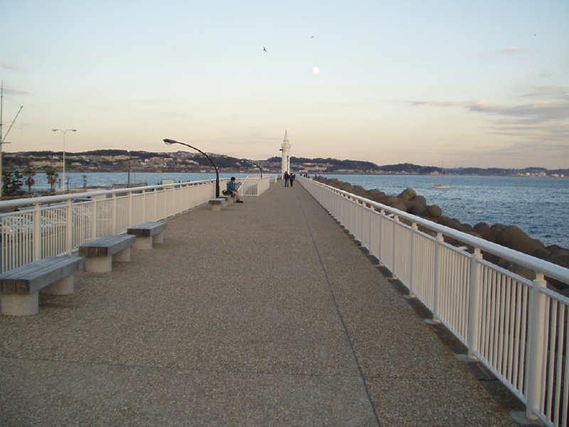 img0031.jpg