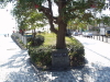 img0007.jpg
