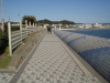 img0008.jpg