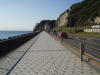 img0010.jpg