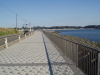 img0011.jpg