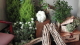 img0020.jpg
