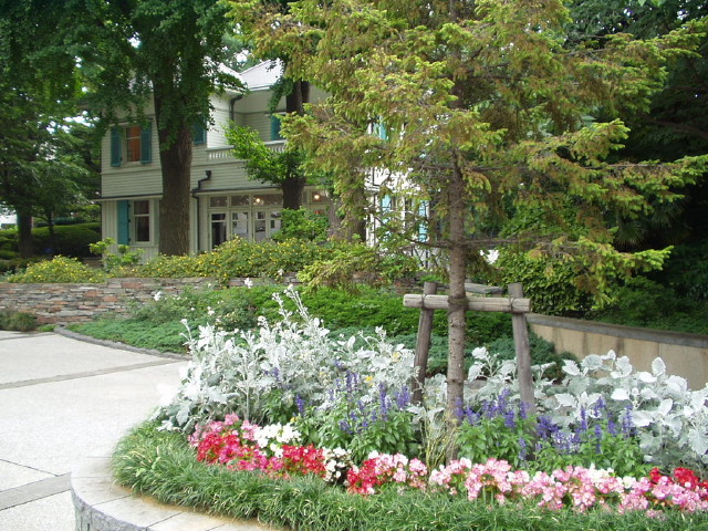 img0010.jpg