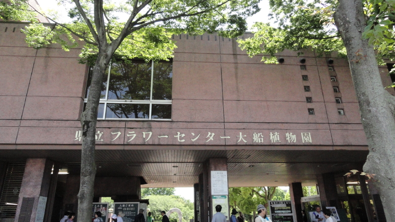 img0000.jpg