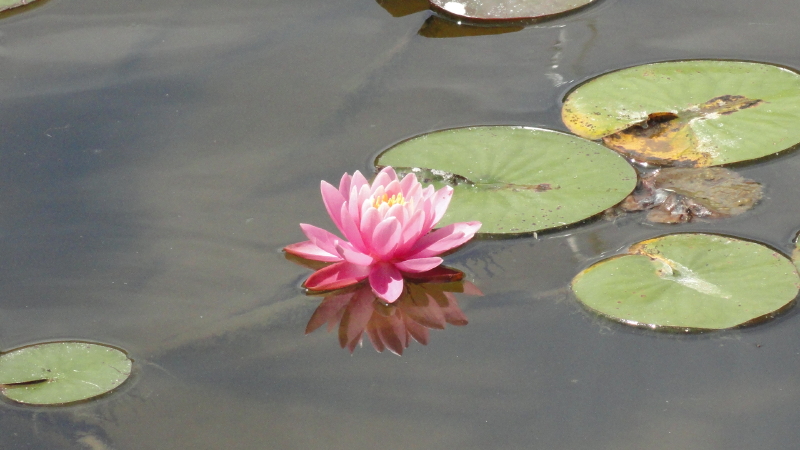 img0004.jpg