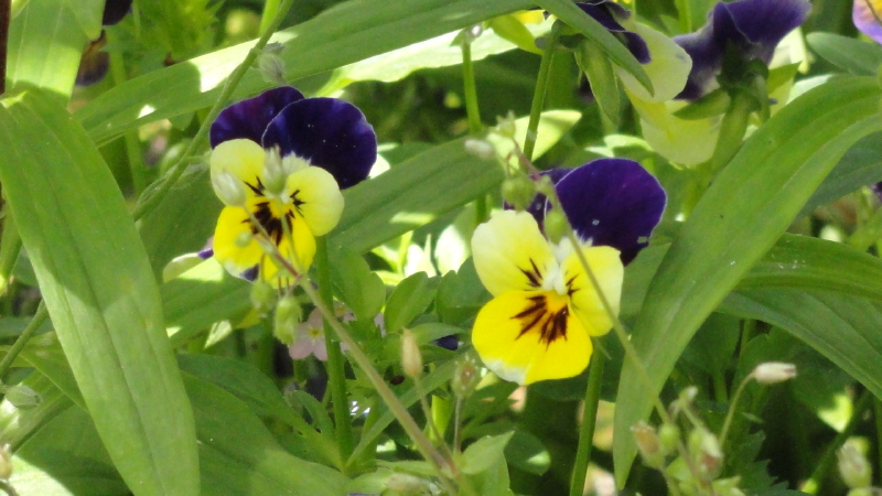 img0008.jpg