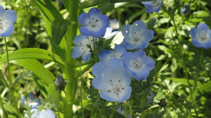 img0012.jpg