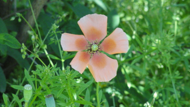 img0020.jpg