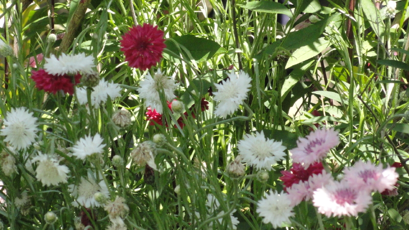 img0022.jpg