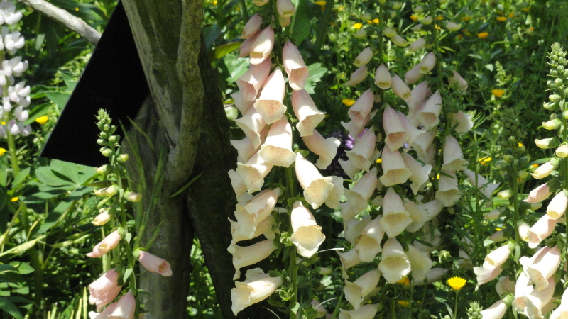 img0023.jpg