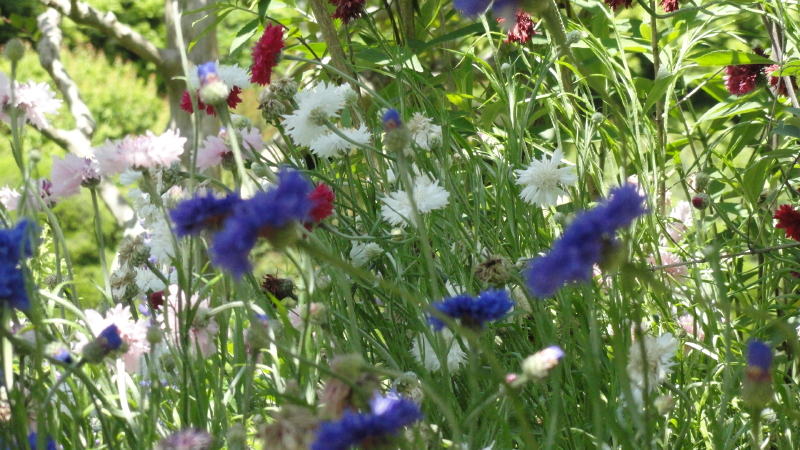img0025.jpg