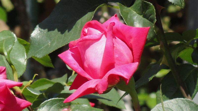 img0027.jpg