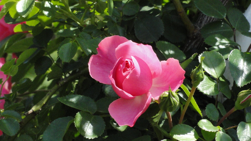 img0030.jpg