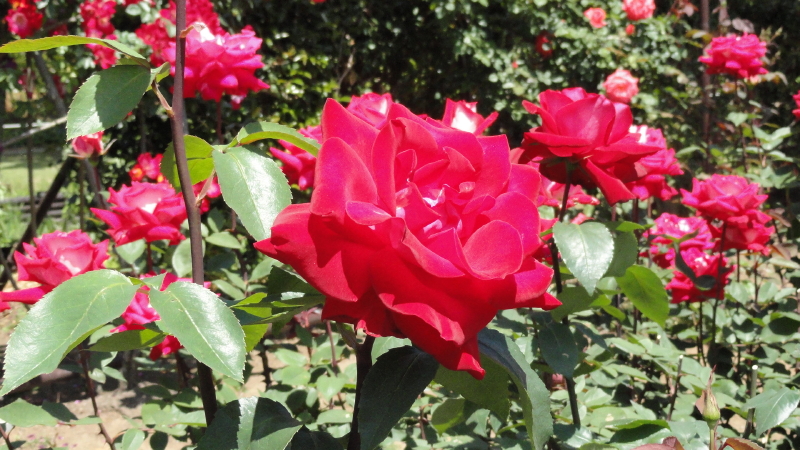 img0032.jpg