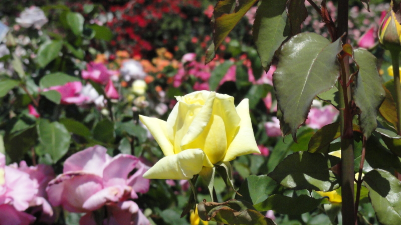 img0041.jpg