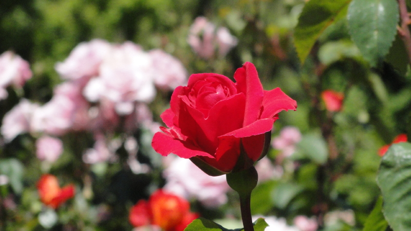 img0046.jpg