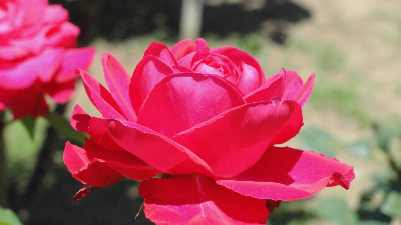 img0047.jpg
