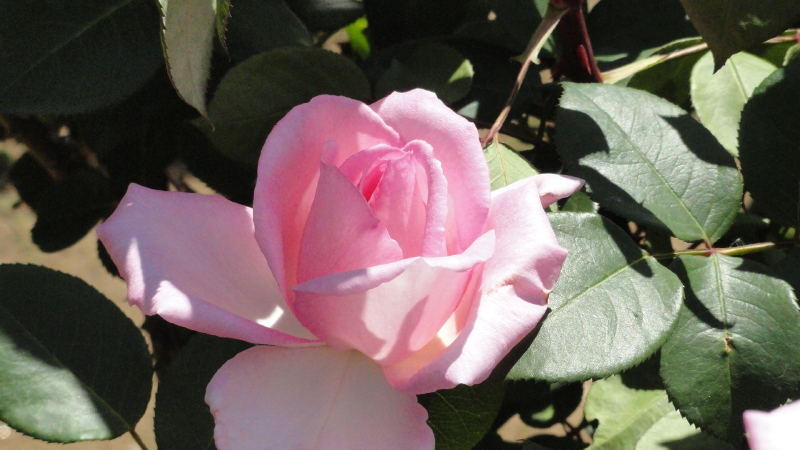 img0052.jpg