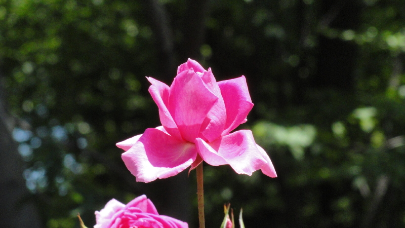 img0055.jpg