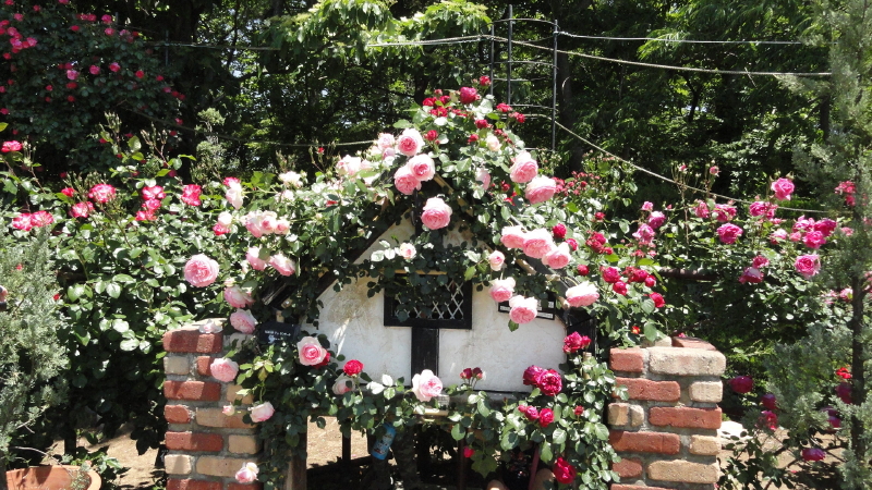 img0057.jpg