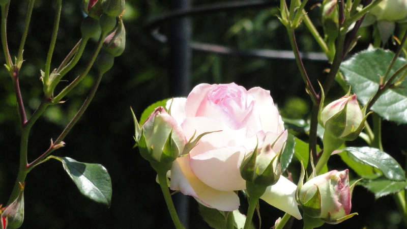 img0059.jpg