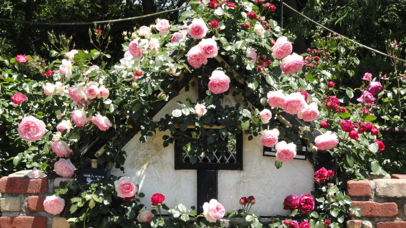 img0060.jpg