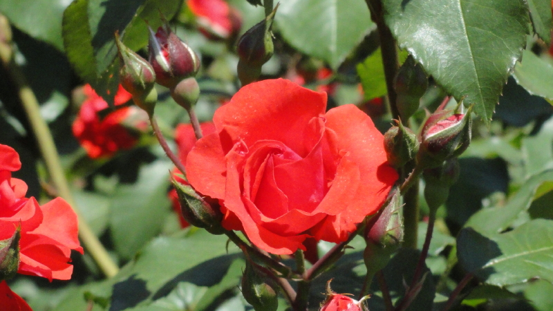 img0065.jpg