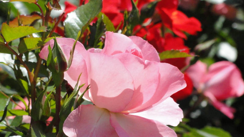 img0069.jpg