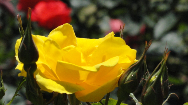 img0072.jpg