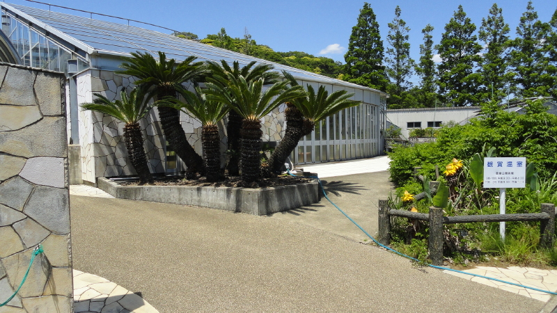 img0097.jpg