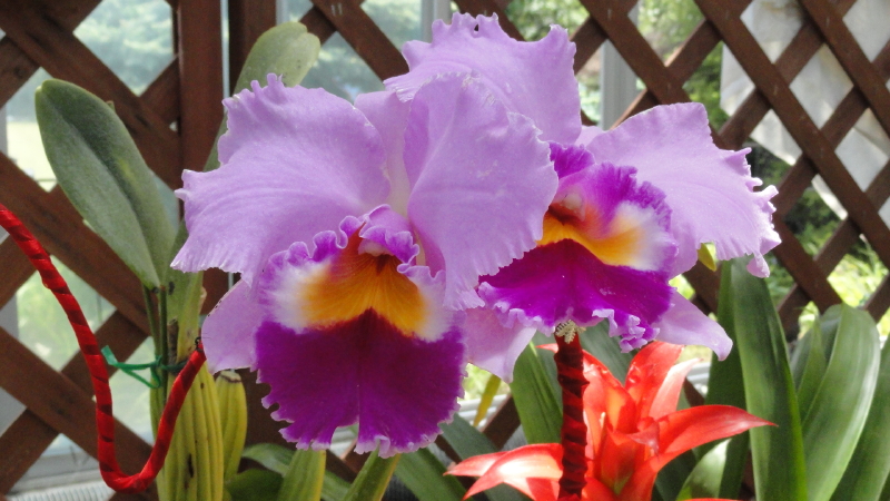 img0098.jpg