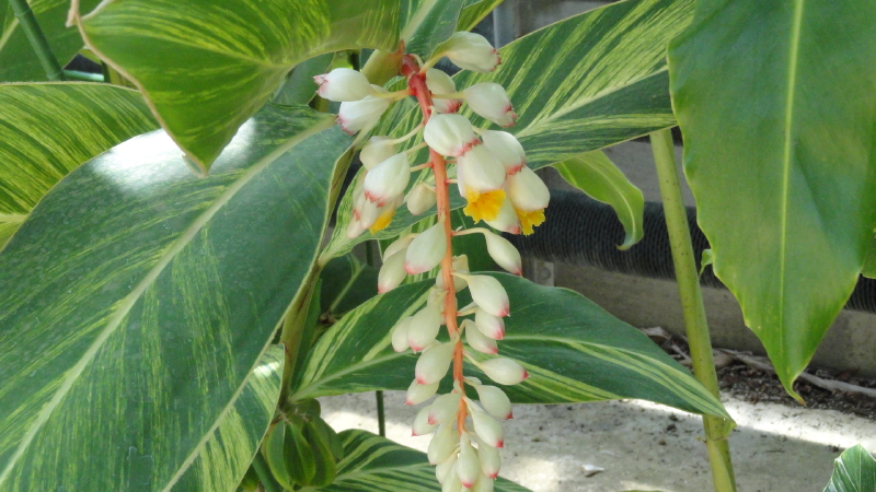 img0102.jpg