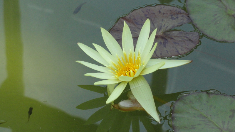img0103.jpg