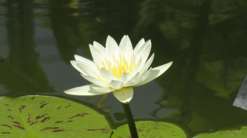img0104.jpg