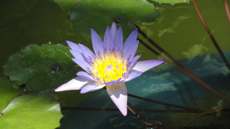 img0106.jpg