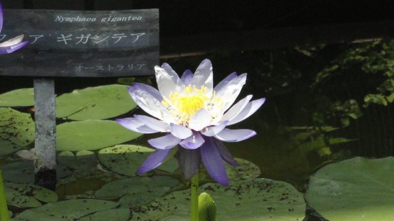 img0107.jpg
