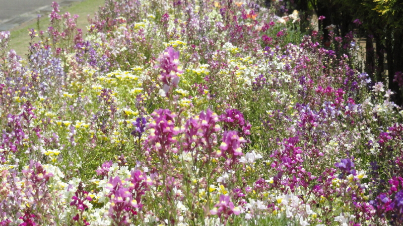 img0112.jpg