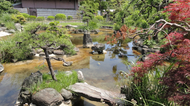 img0115.jpg