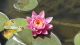 img0003.jpg