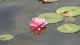 img0004.jpg